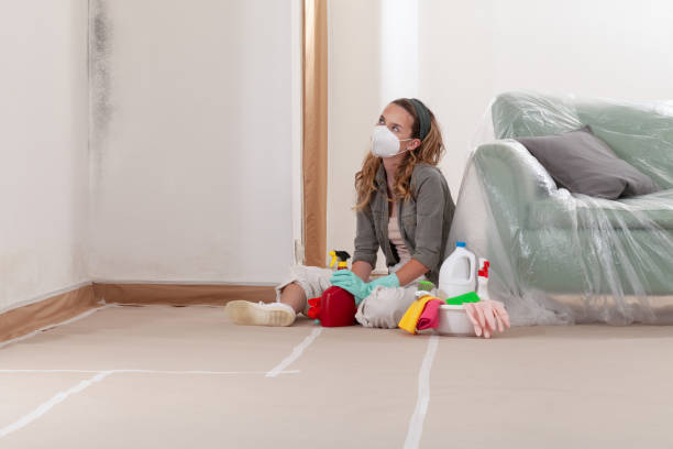 Reliable Black Mold Removal contractor in Ellsworth, MI by WQB Mold Removal